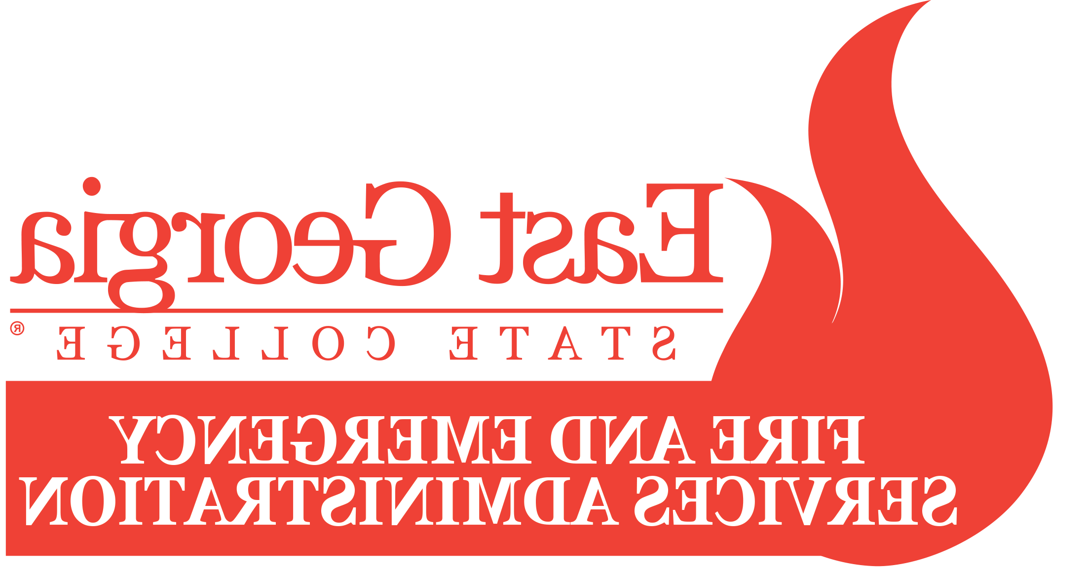 FESA Logo long